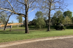 Indian Springs