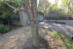Indian Springs - 2bd B2