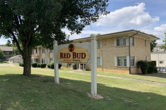 Red Bud